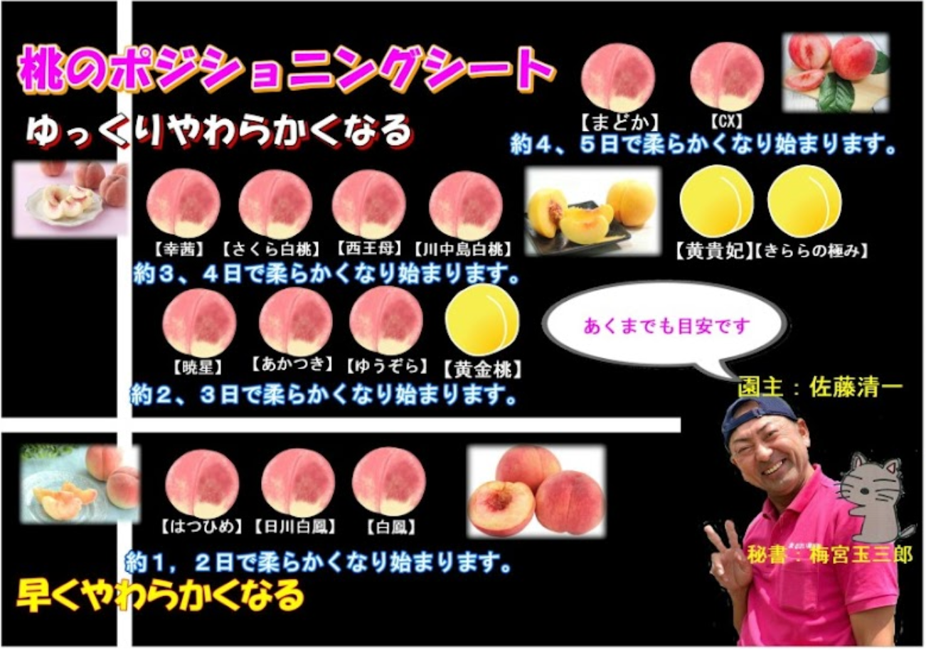 ゆうくんの川中島白桃【贈答用】