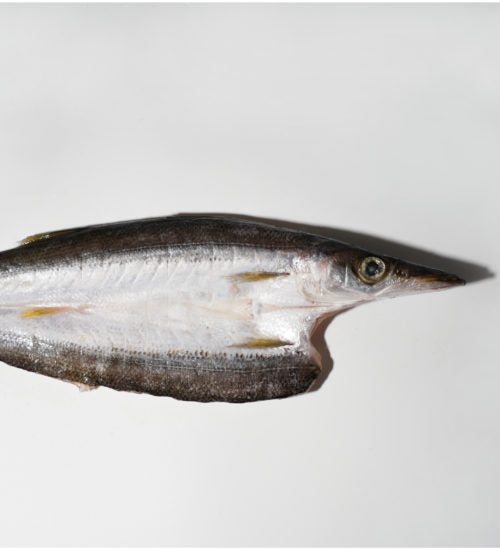 【特大サイズ】かますの干物( 1尾:161g〜)