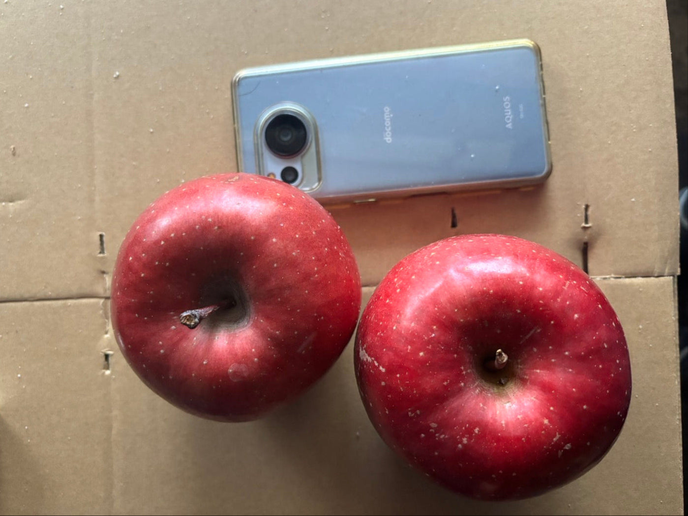 【贈答用】野田さんのふじ(秋田県産)