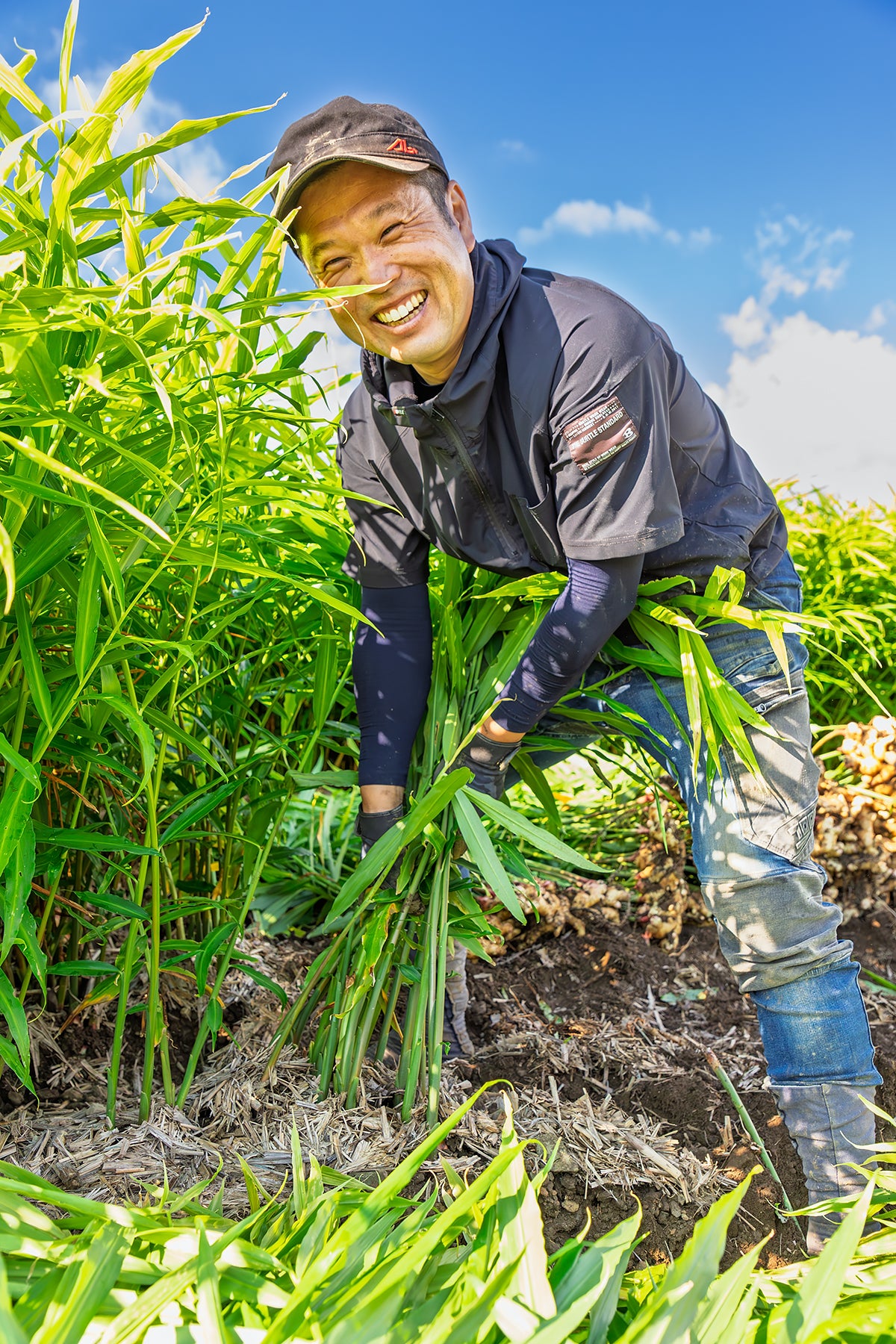 特別栽培 香り大生姜 (高知県産 )