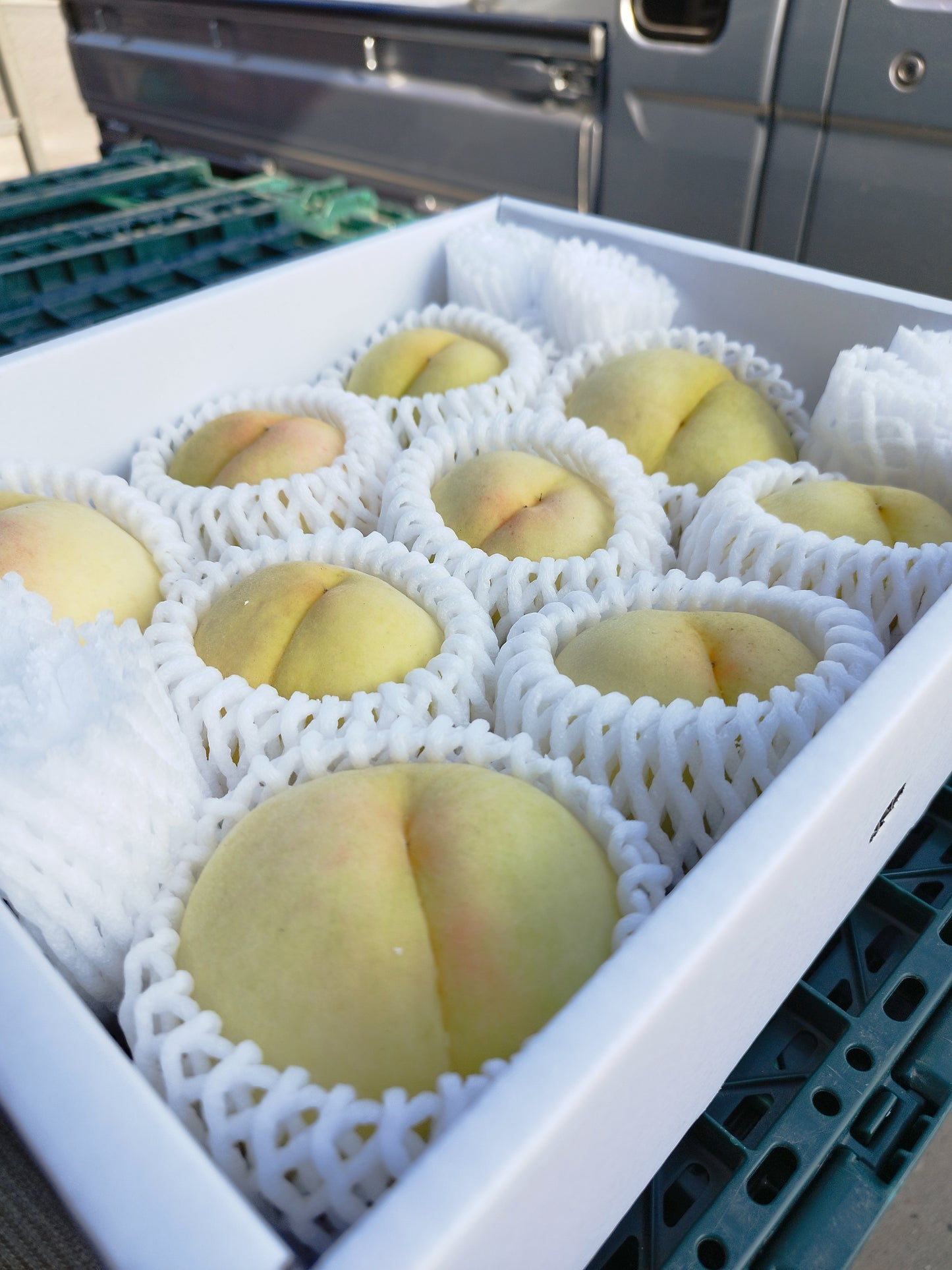 白桃甘酒と桃(清水白桃)のセット※7月中旬~下旬配送開始予定