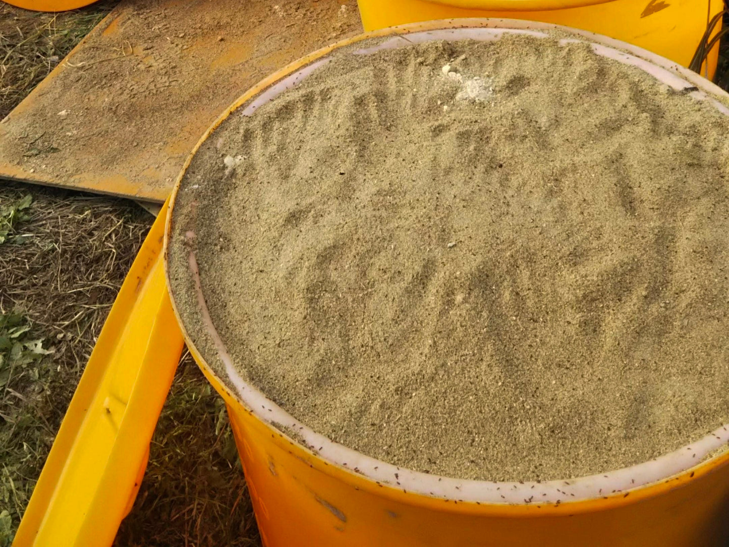 オーガニック農家の秋野菜セット(千葉県産)