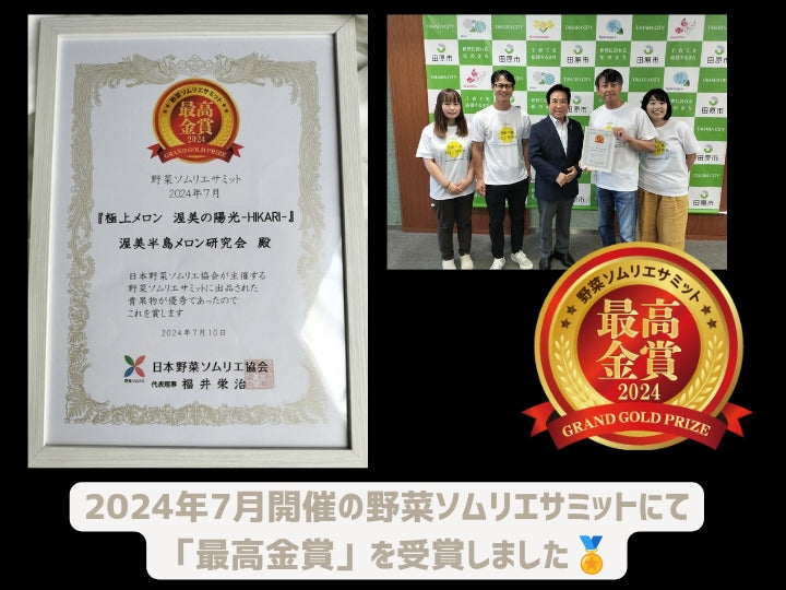 渡辺さんの渥美の陽光メロン(愛知県産)※7月上旬頃から配送