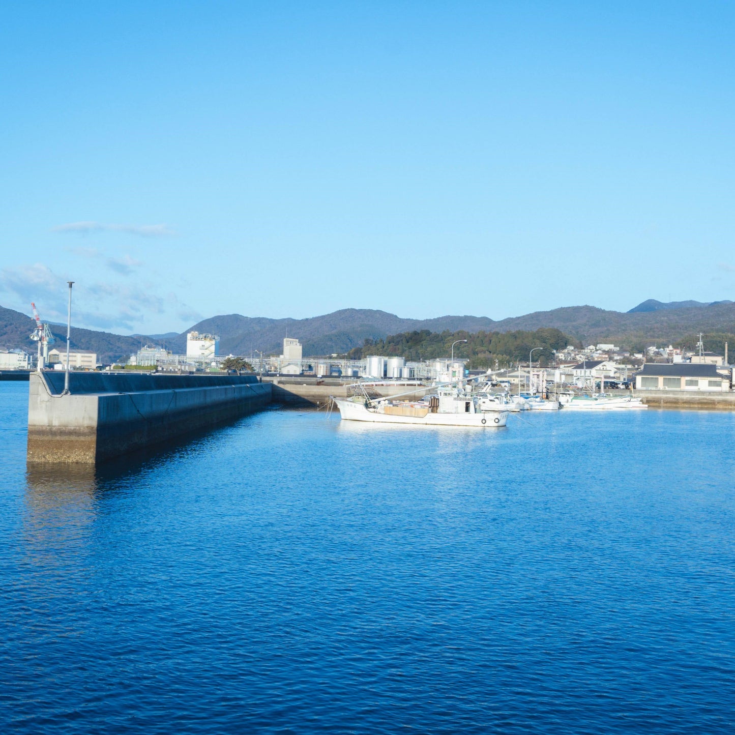 瀬戸内・牡蠣セット (殻付き・剥き身)