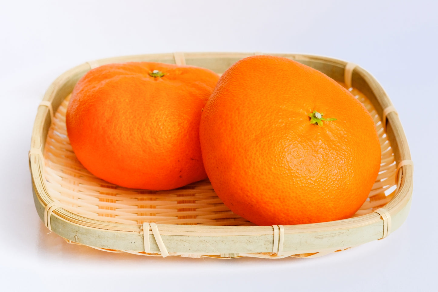 【家庭用】甘平(愛媛県松山産)※2月上旬頃から配送