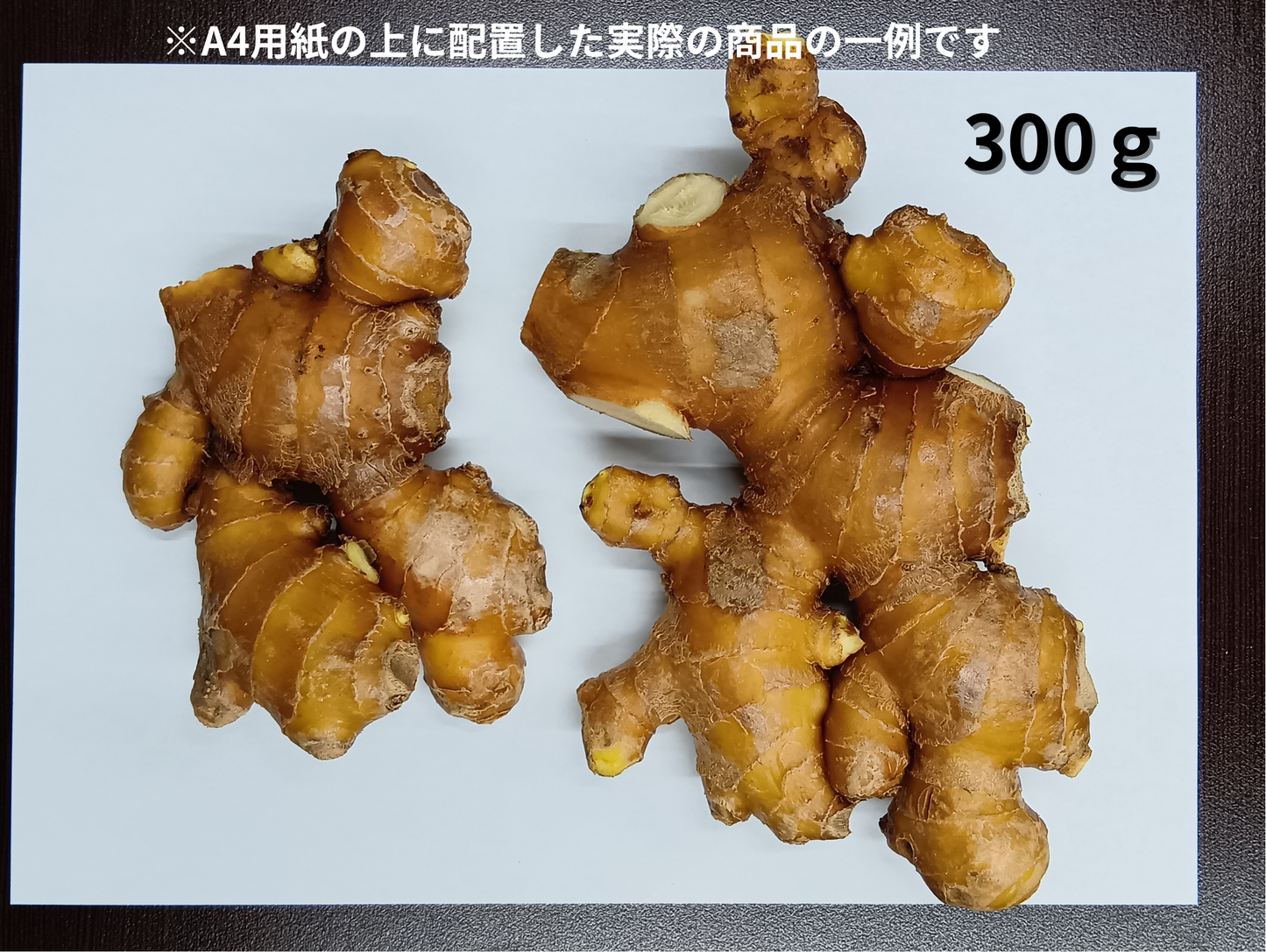 特別栽培 香り大生姜 (高知県産 )