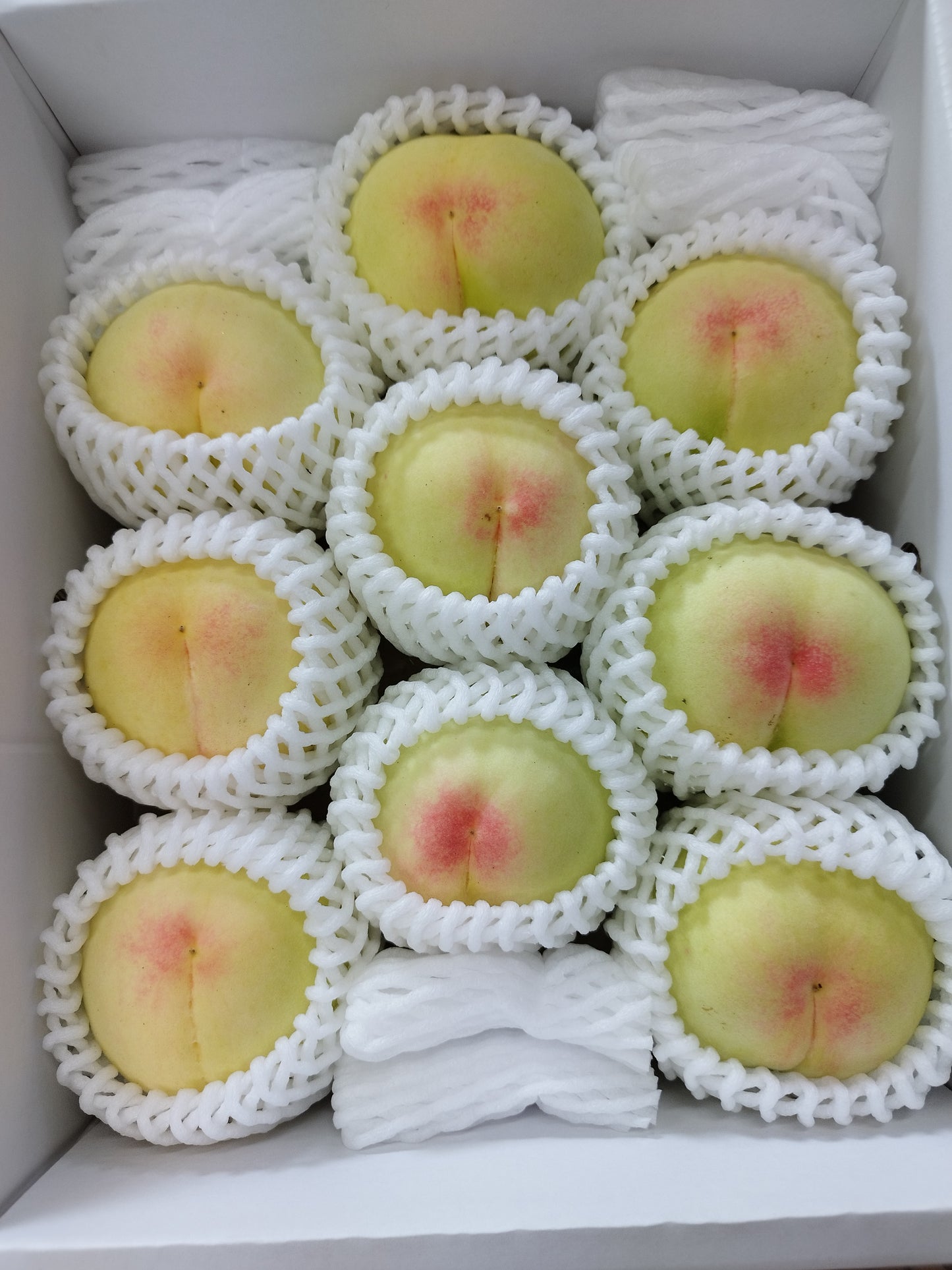 白鳳(岡山県産) ※7月上旬~中旬配送開始予定