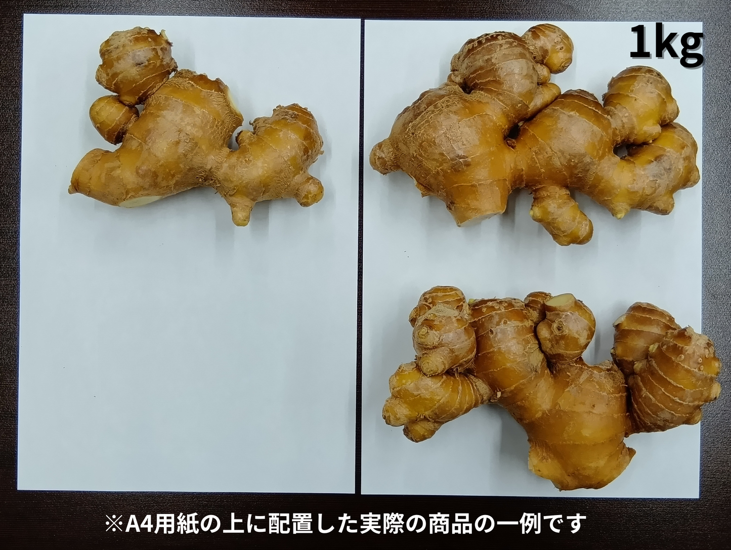 特別栽培 香り大生姜 (高知県産 )