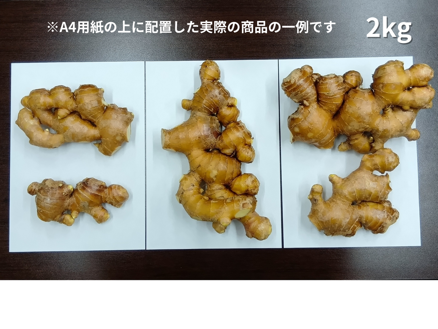 特別栽培 香り大生姜 (高知県産 )