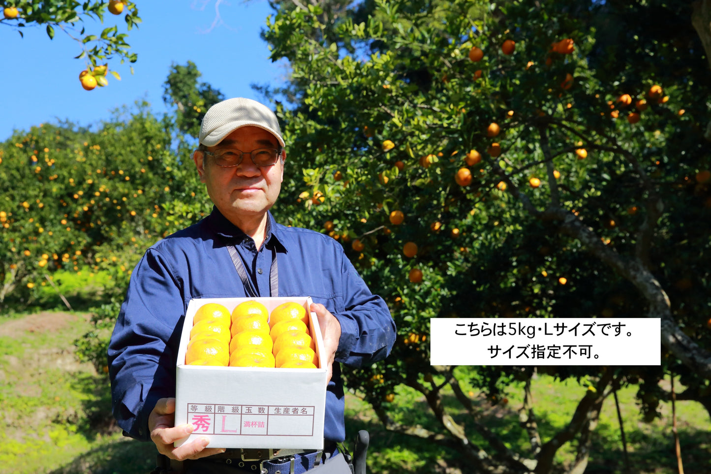 卓郎さんのポンカン(M〜2L)種子島