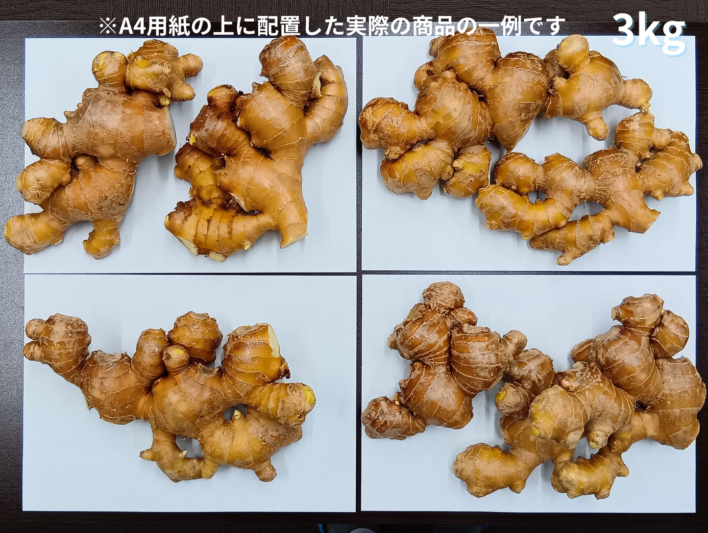 特別栽培 香り大生姜 (高知県産 )