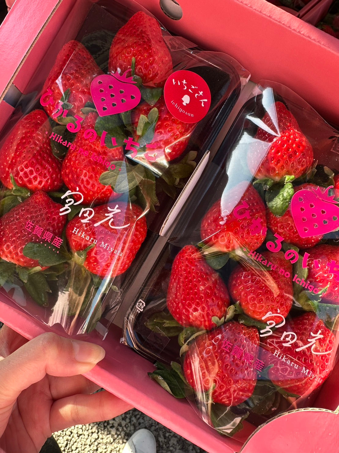 宮田さんのいちごさん(家庭用)