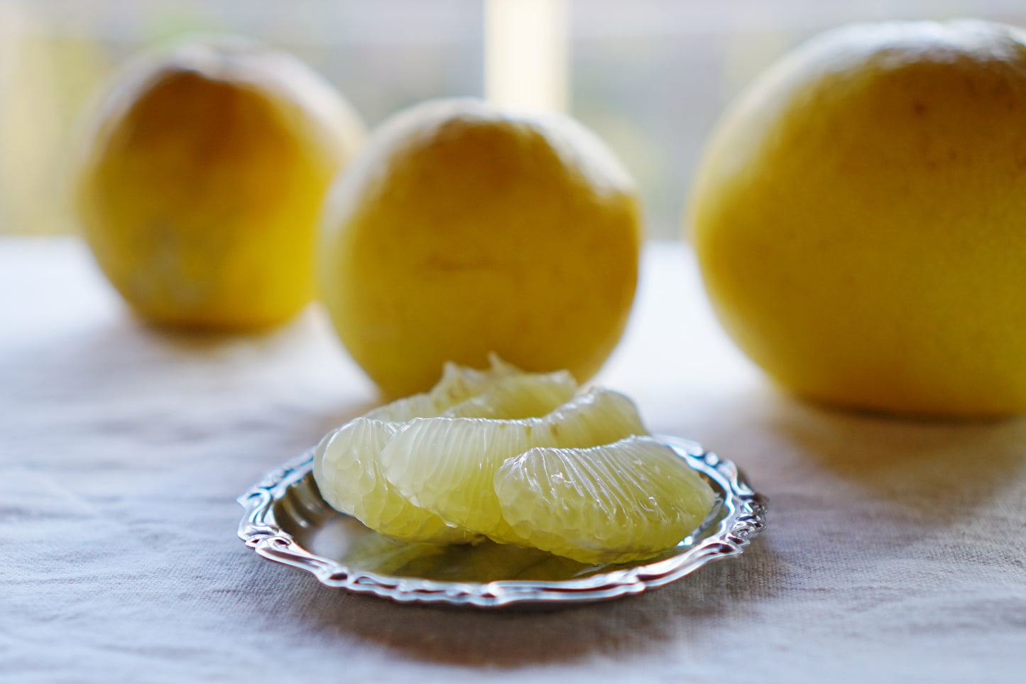 中島のせとかと土佐文旦セット ※3月頃配送