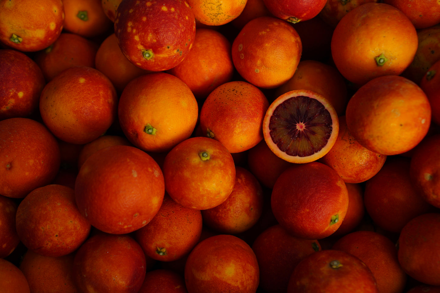 【ラストセール】中島のモロ(ブラッドオレンジ)