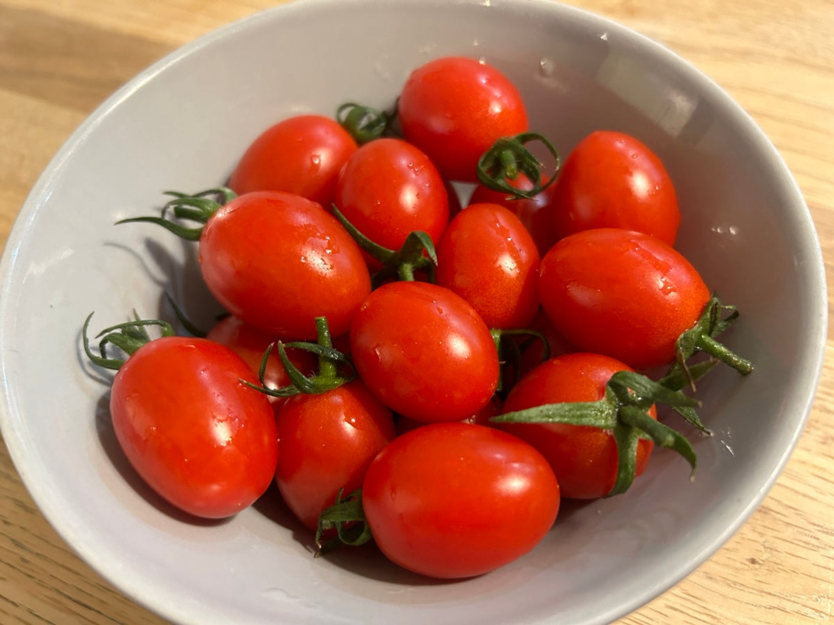 【糖度8度以上】熊本県のアイコトマト【冷蔵便】