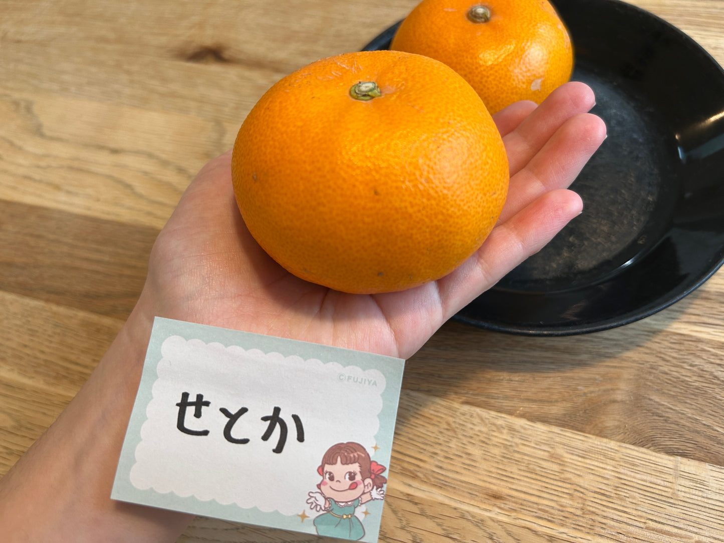 中島のせとか(L〜3L)