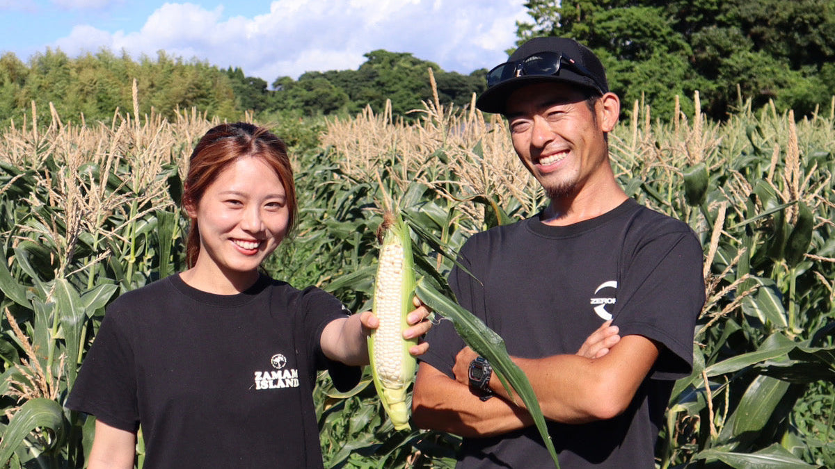【訳あり】うとさんの白いとうもろこし※10月末までにお届け