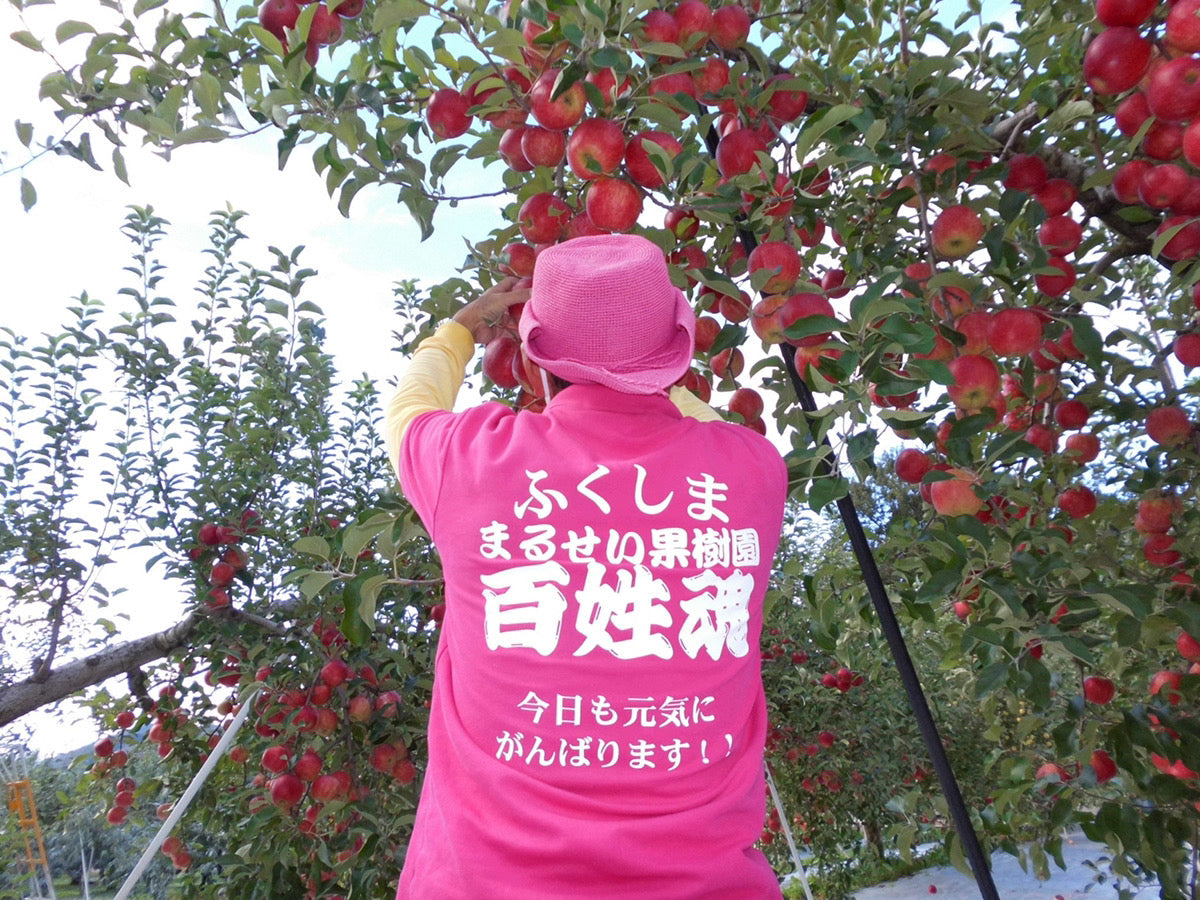 【訳あり】お任せりんご&桃ジュースセット
