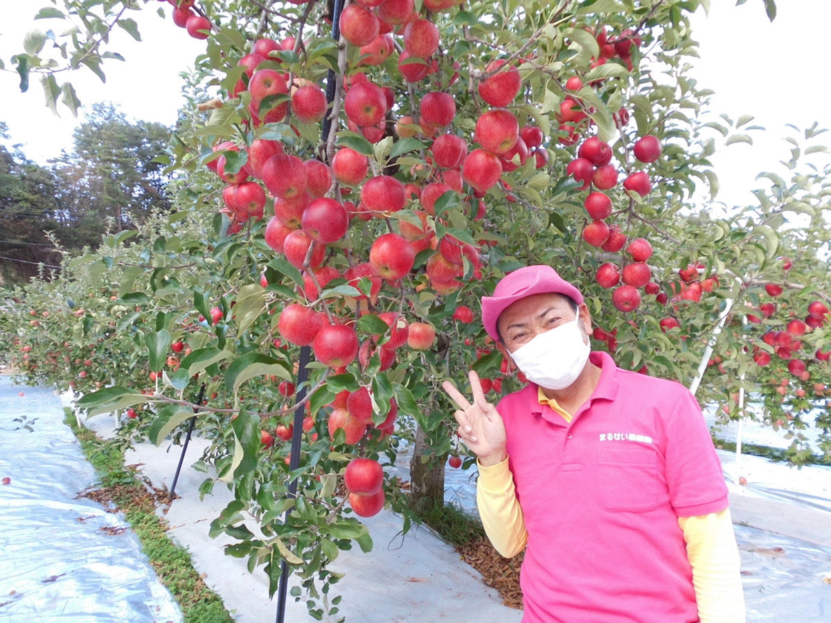 【訳あり】お任せりんご&桃ジュースセット
