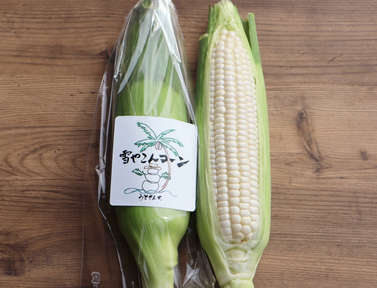 うとさんの白いとうもろこし※6月中旬頃から配送開始
