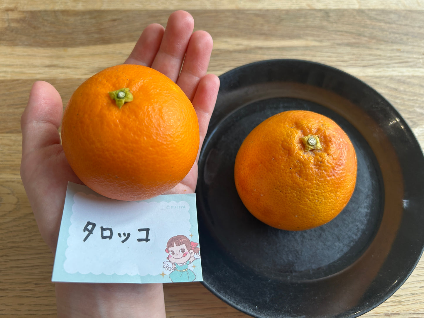 中島のタロッコ