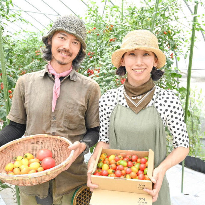 フルティカトマト(岐阜県産)