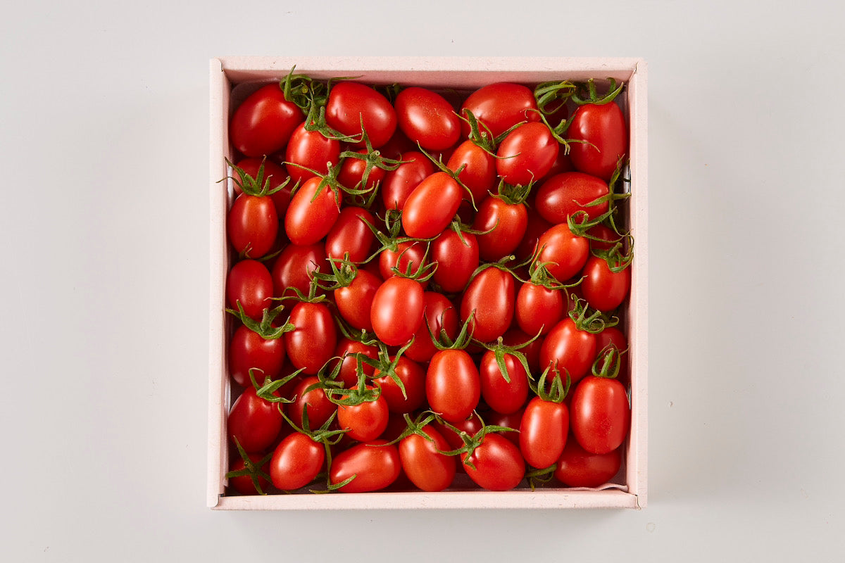 【贈答用】【糖度8度以上】熊本県のアイコトマト※12月中旬頃から配送