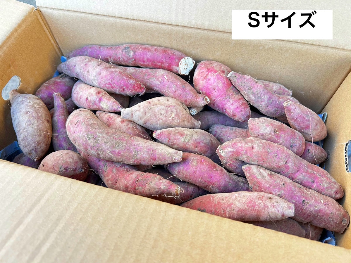 【訳あり】うとさんの南国蜜芋/S