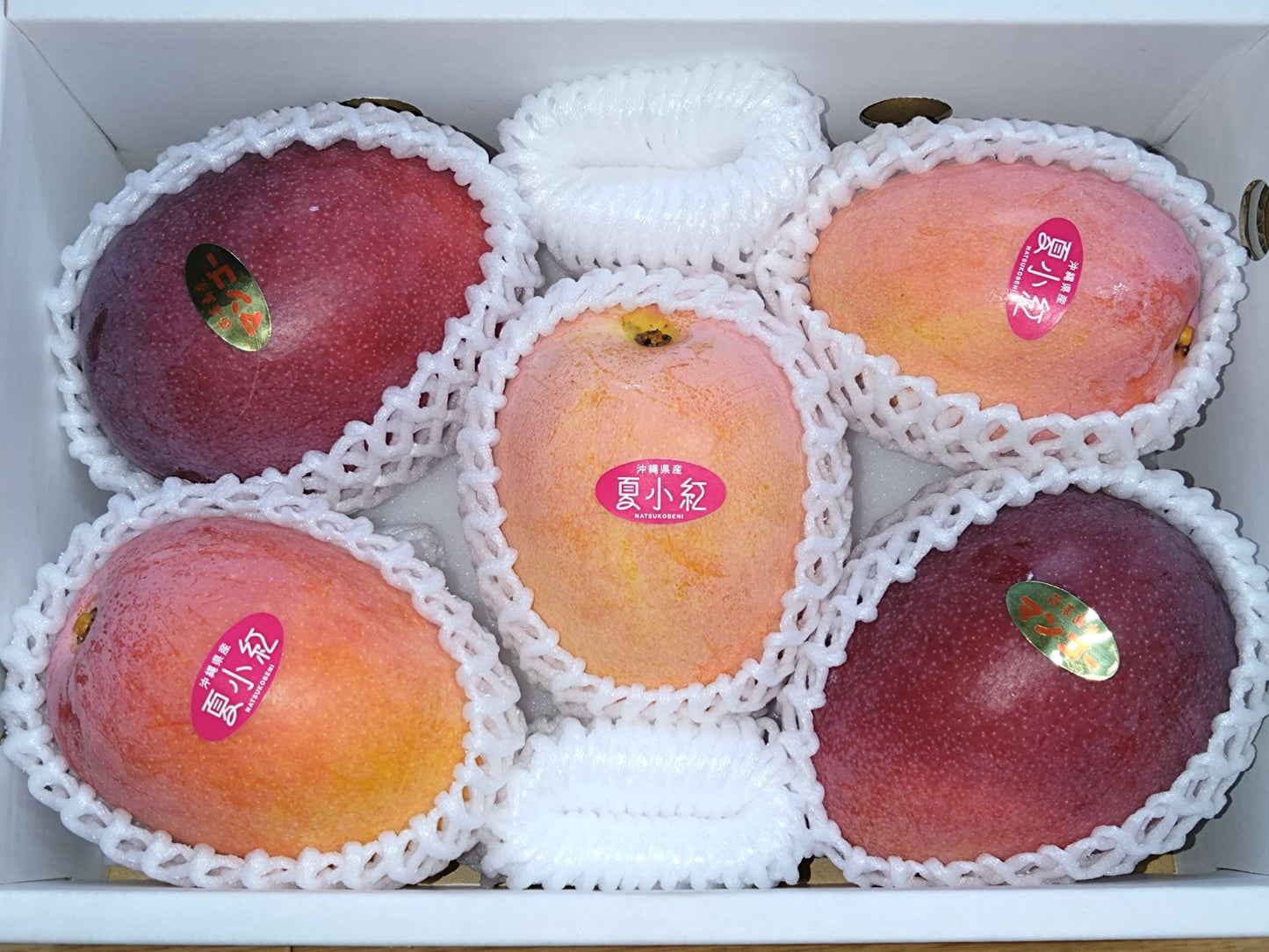 アップルマンゴー&夏小紅セット※7月下旬頃から配送スタート