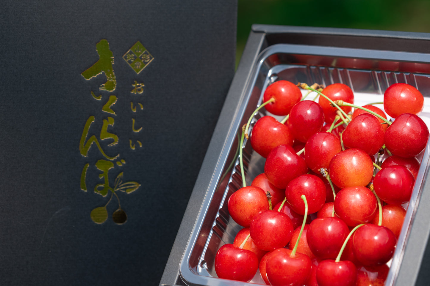 【特秀品】山形県産の佐藤錦※6月中旬頃から配送