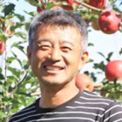 【家庭用】秋田県産のシナノゴールド(りんご)