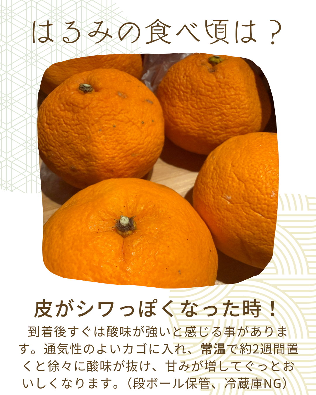 小さいはるみみかん(S以下)※2月下旬頃配送開始
