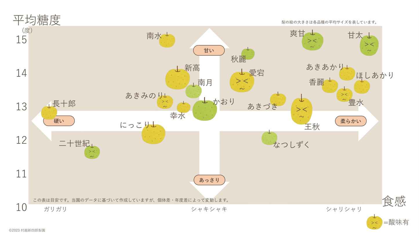 【秀品】村越さんのおまかせ旬の梨 (千葉県産)