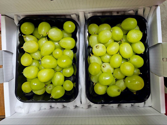 【家庭用】せいちゃんのシャインマスカット(パック詰め)