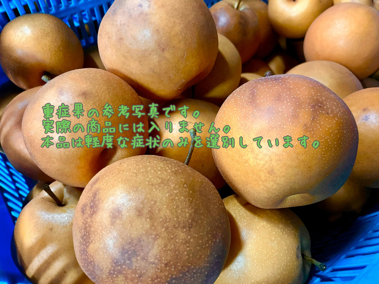 【加工用】村越さんの新高(千葉県産)