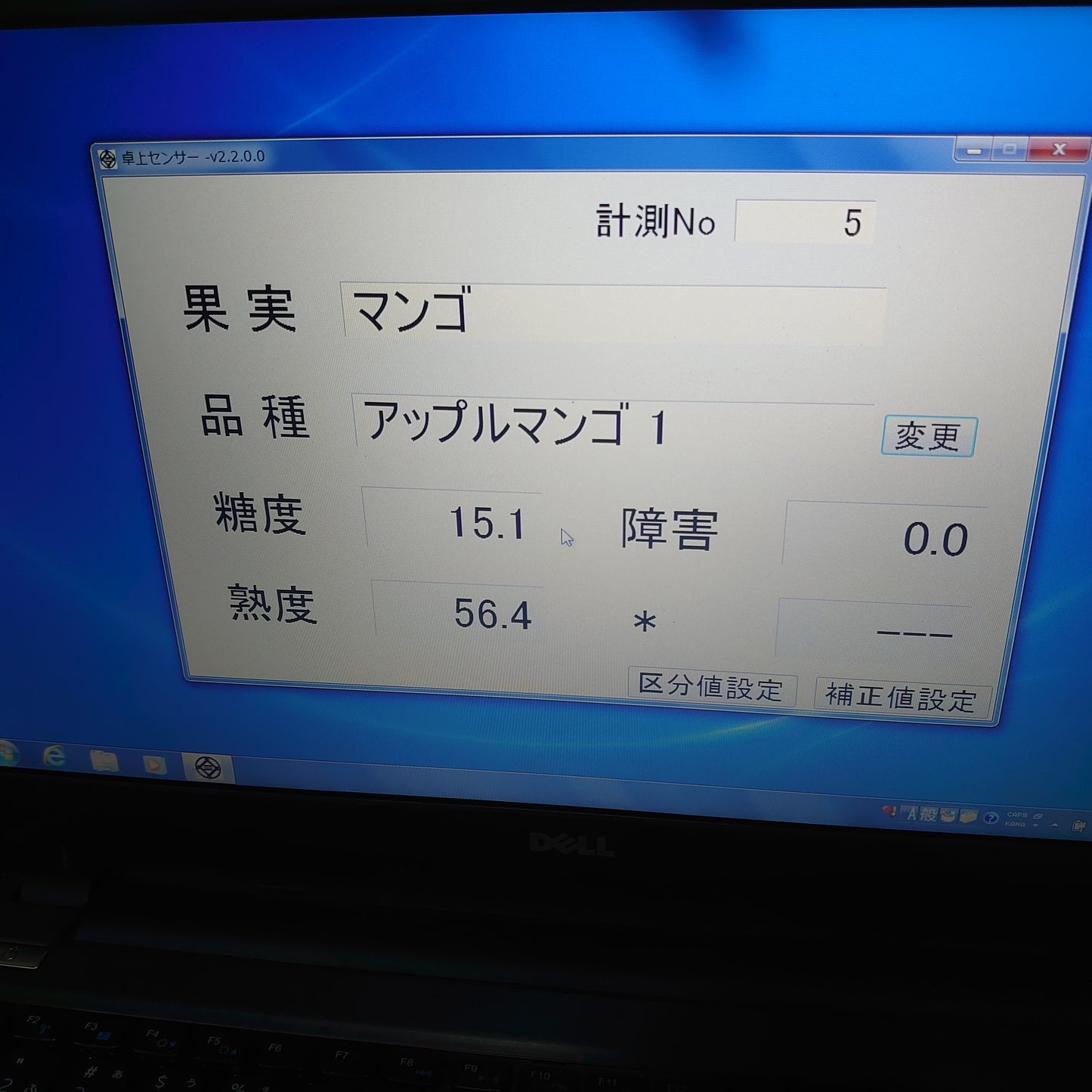 【ラストセール】西表島のアップルマンゴー