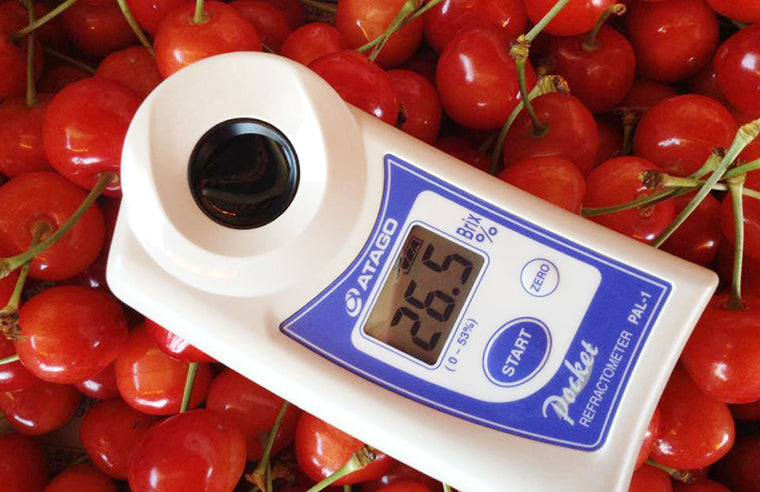 北光(福島県産さくらんぼ)