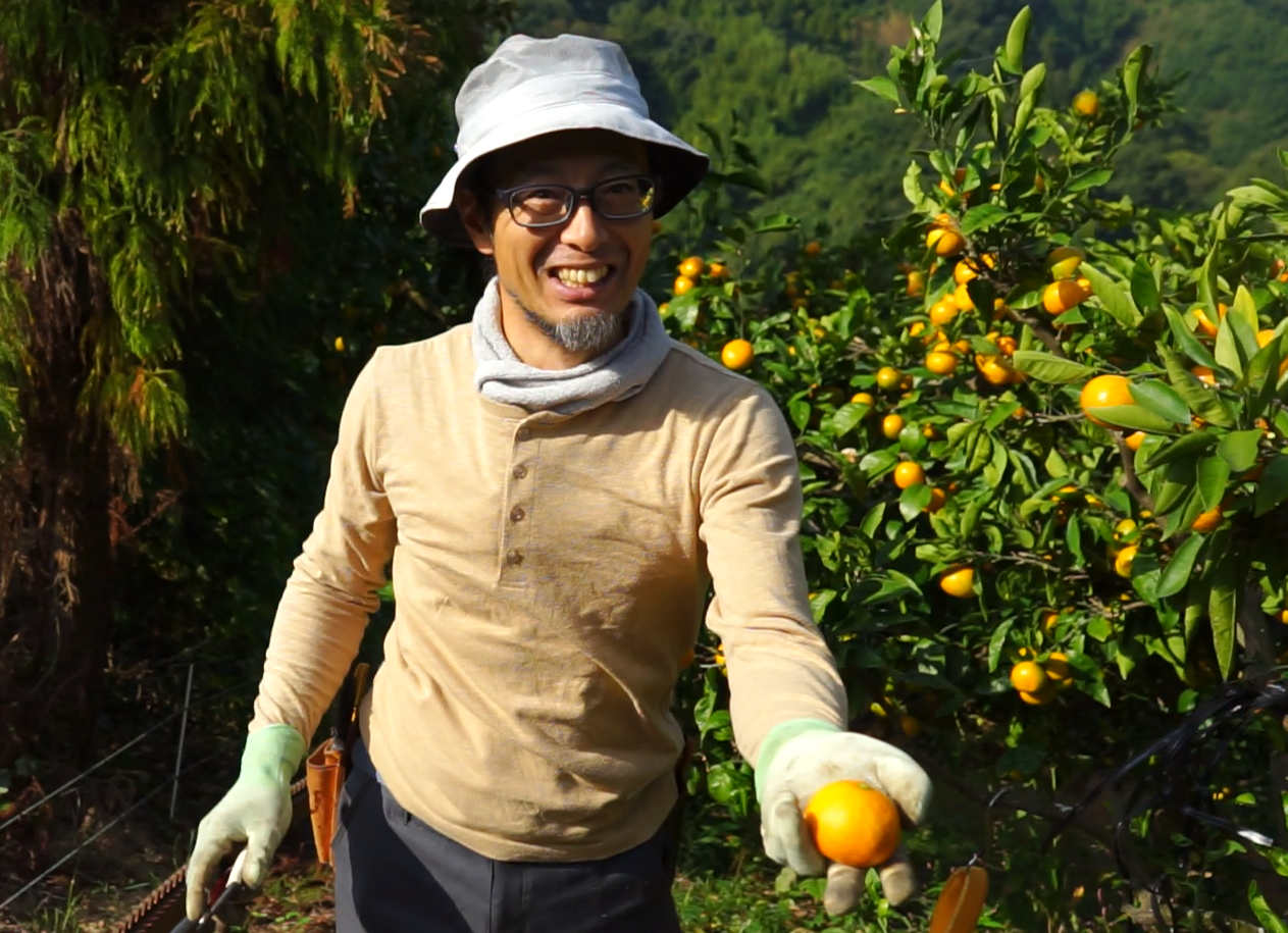 【農薬不使用】宮川早生みかん※11月上旬頃配送開始