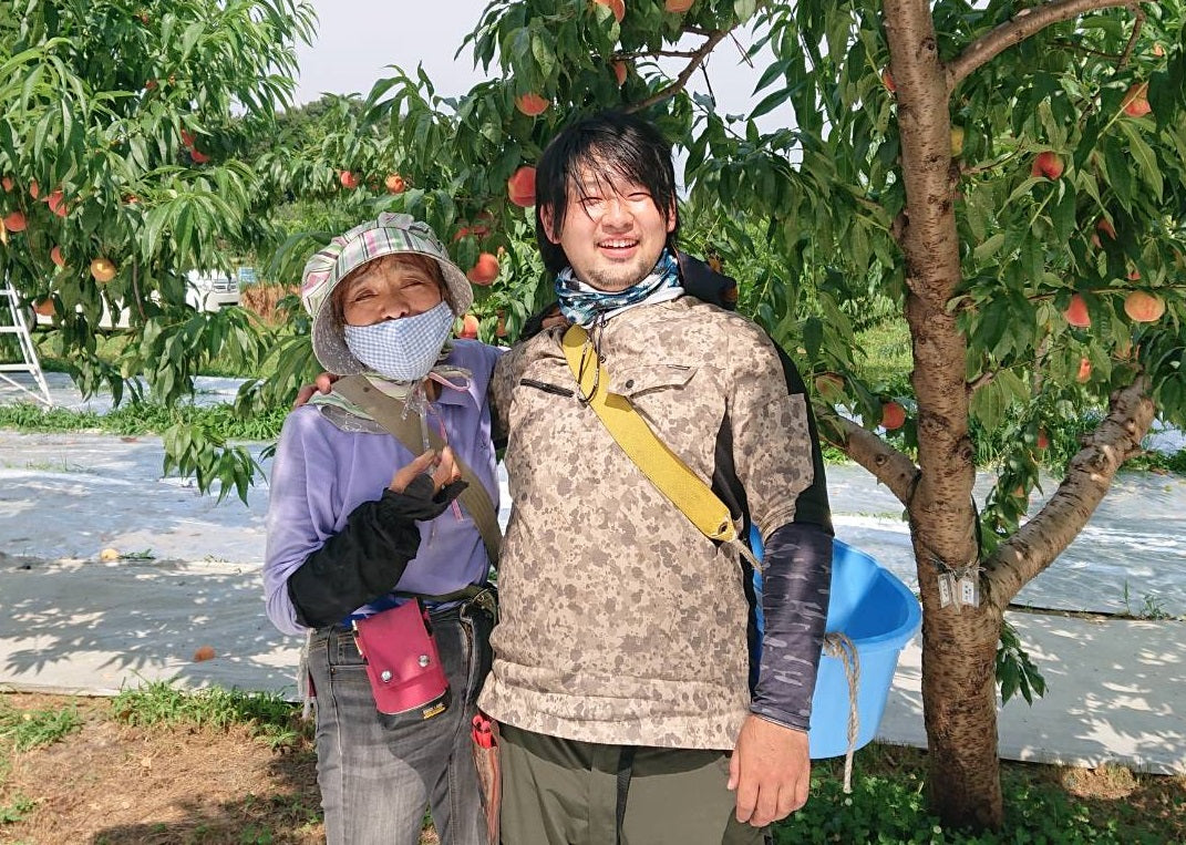 【家庭用】ゆうくんの川中島白桃
