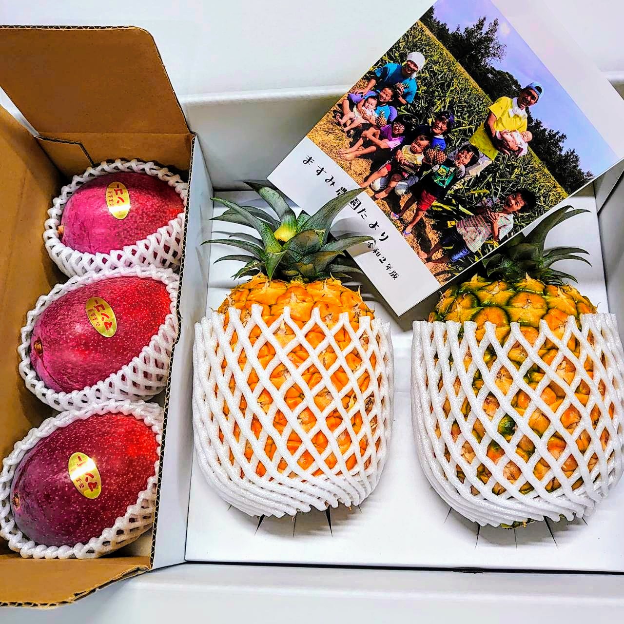西表島のパイン・マンゴーセット※7月中旬頃〜配送開始予定