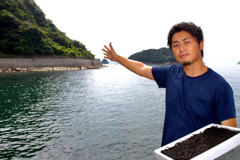 鉄釜炊きひじき(瀬戸内海産)