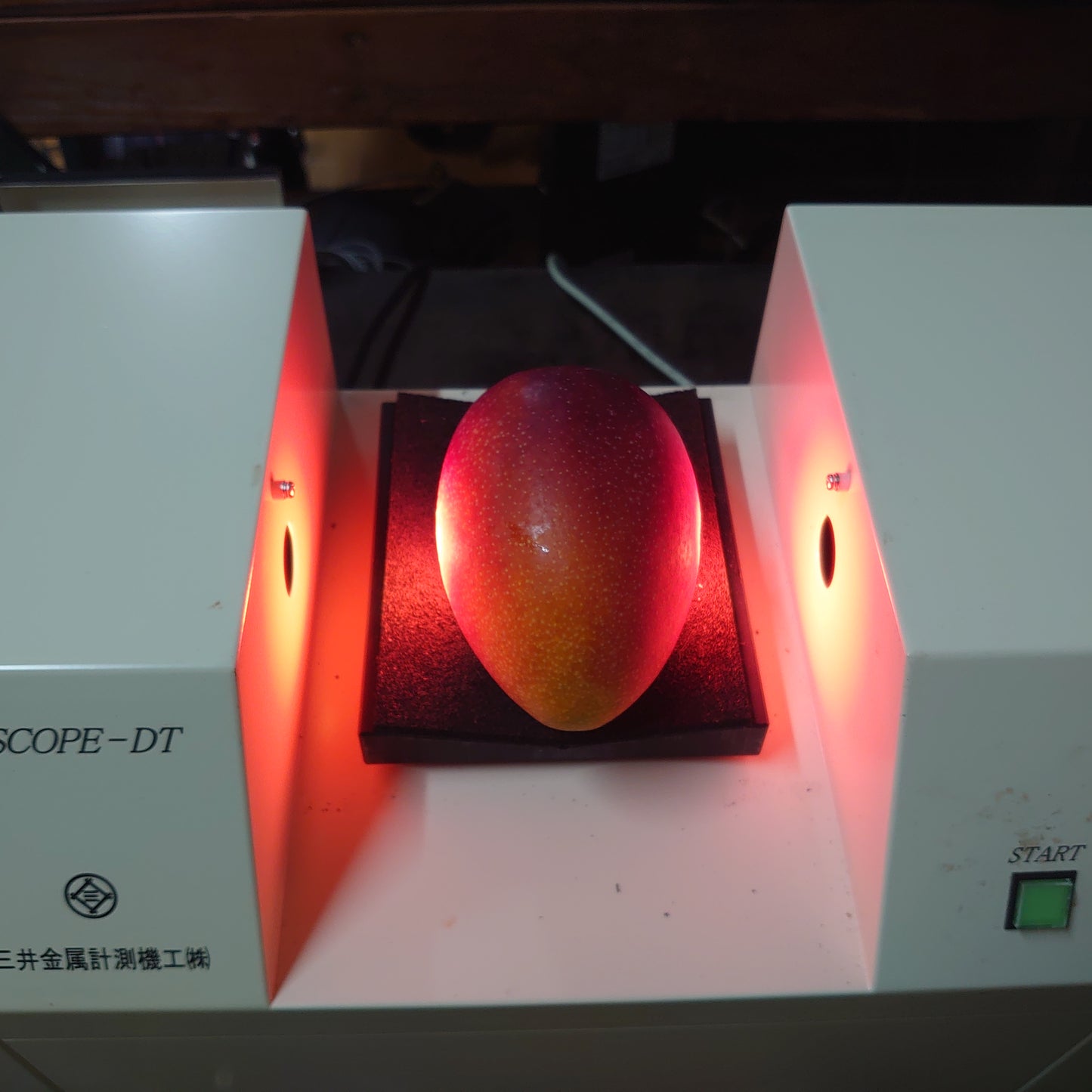 【ラストセール】西表島のアップルマンゴー