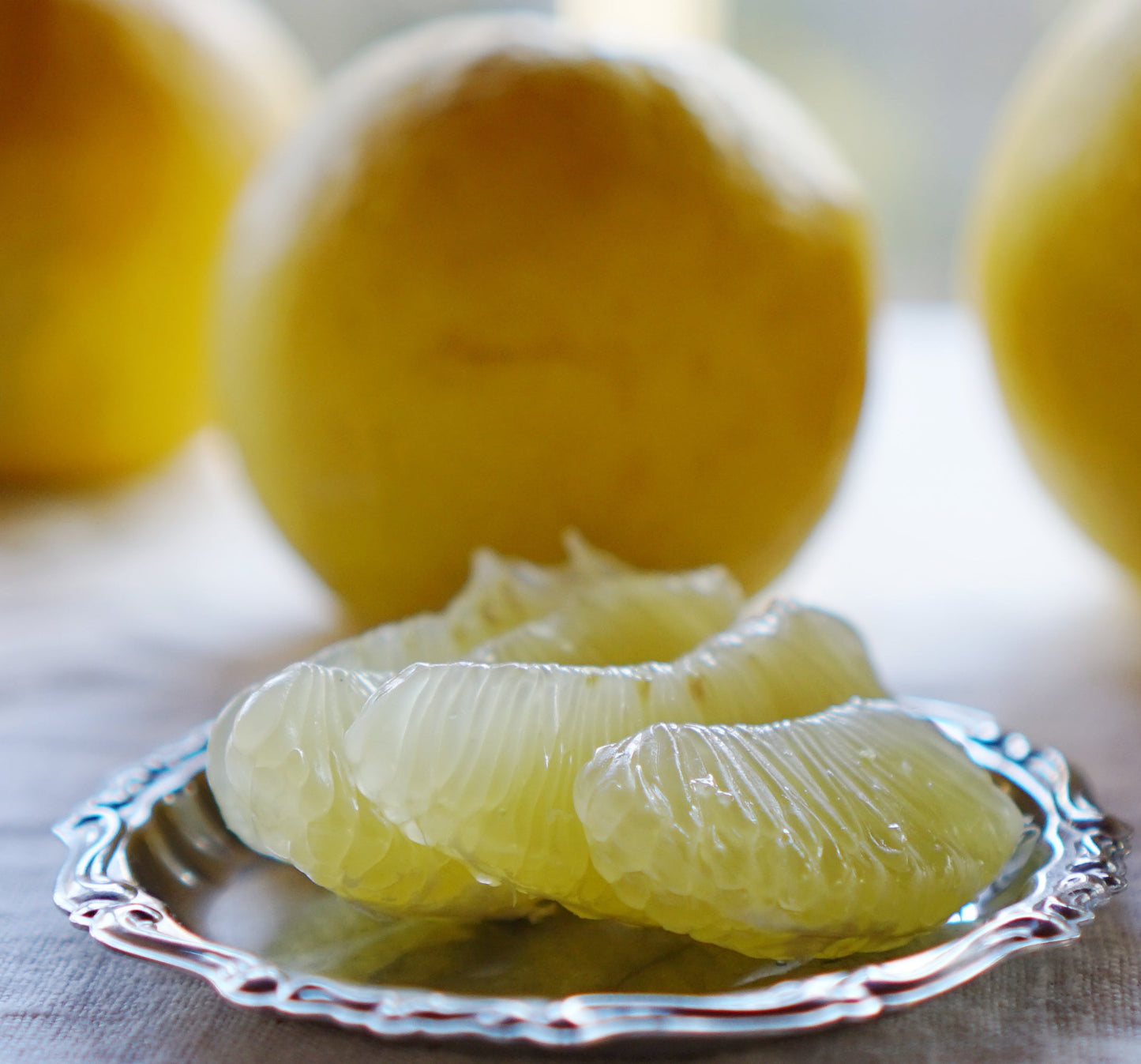 中島の土佐文旦(小玉)※2月下旬頃から配送