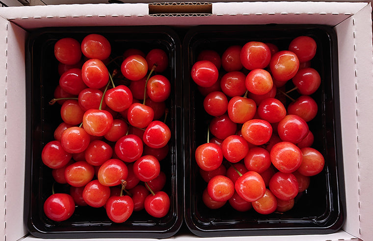 せいちゃんの高砂(たかさご)(さくらんぼ)