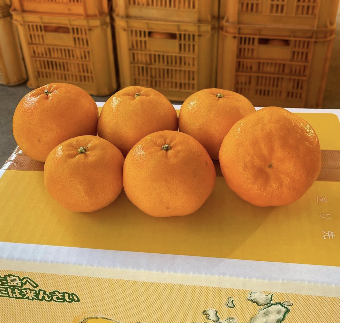 大崎上島のはるみ