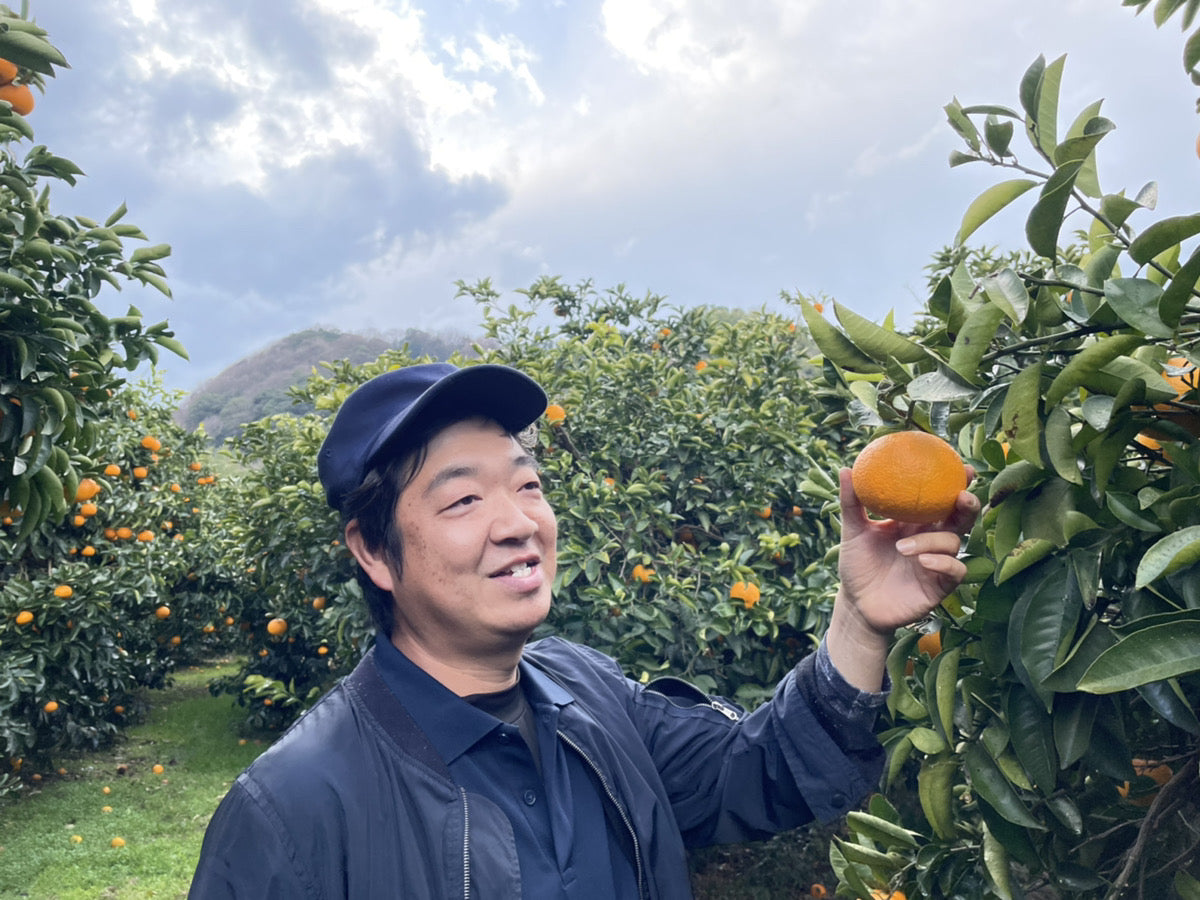 西田さんの紅八朔