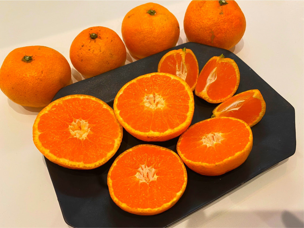 中島のあいひめ