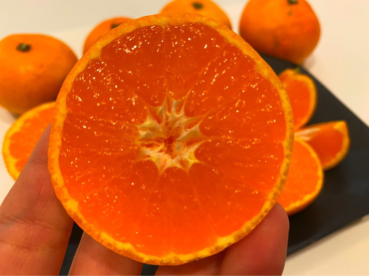 中島のあいひめ