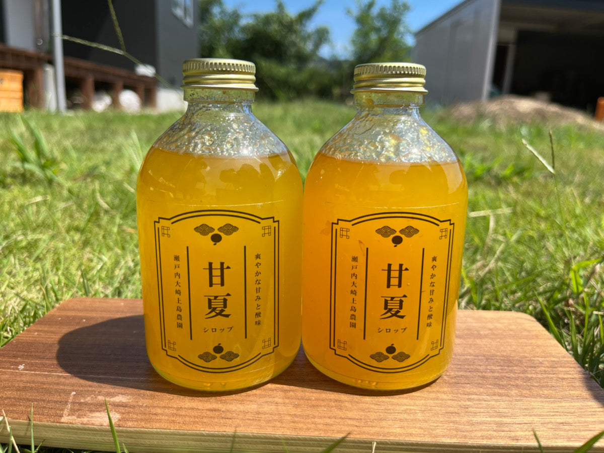 広島県大崎上島の越智さんの甘夏で作った 「無添加甘夏シロップ」