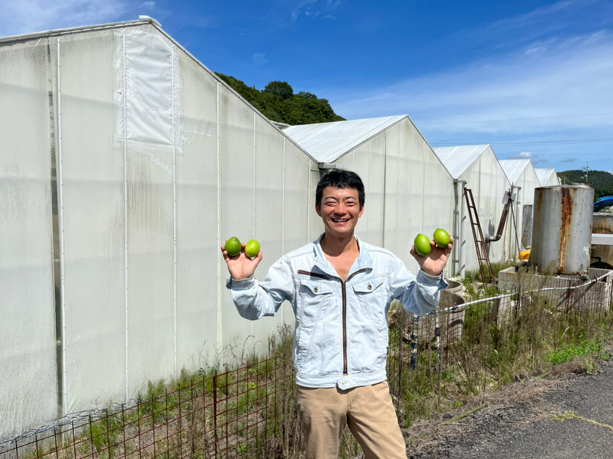 高田さんの瀬戸内ハウスグリーンレモン(大崎上島)8月頃〜